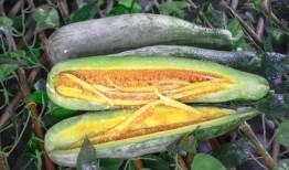 网红吃瓜公共号,揭秘娱乐圈幕后真相，带你领略明星们的真实生活